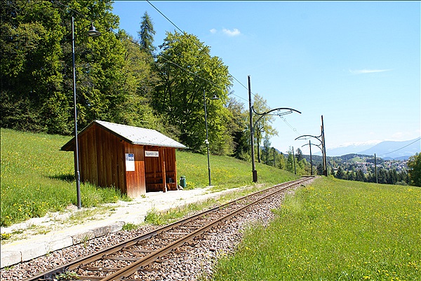 Foto:: Wanderung / Klobenstein - Wolfsgruben / 14.05.2013 (Foto,Fotos,Bilder,Bild,)