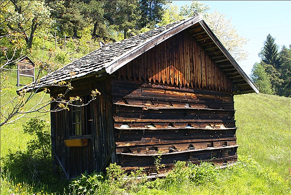 Foto:: Wanderung / Klobenstein - Wolfsgruben / 14.05.2013 (Foto,Fotos,Bilder,Bild,)
