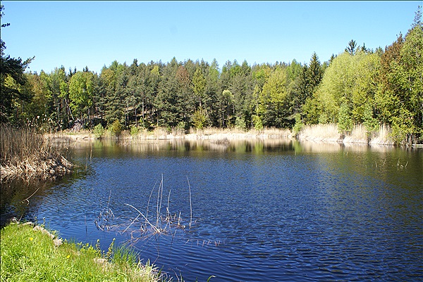 Foto:: Wanderung / Klobenstein - Wolfsgruben / 14.05.2013 (Foto,Fotos,Bilder,Bild,)
