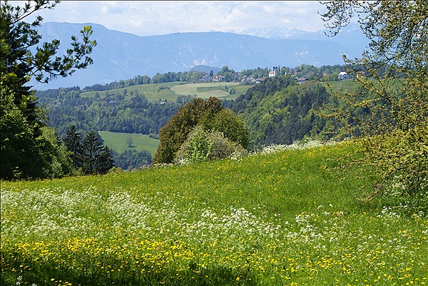 Foto:: Wanderung / Klobenstein / 14.05.2013 (Foto,Fotos,Bilder,Bild,)