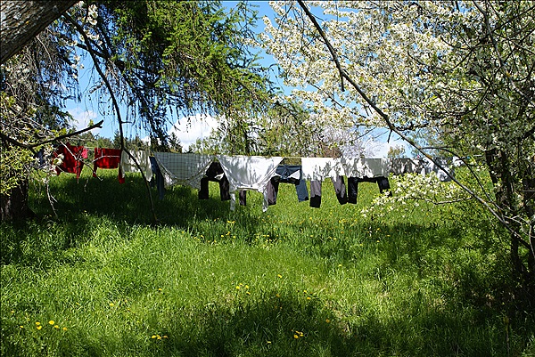 Foto:: Wanderung / Klobenstein / 14.05.2013 (Foto,Fotos,Bilder,Bild,)