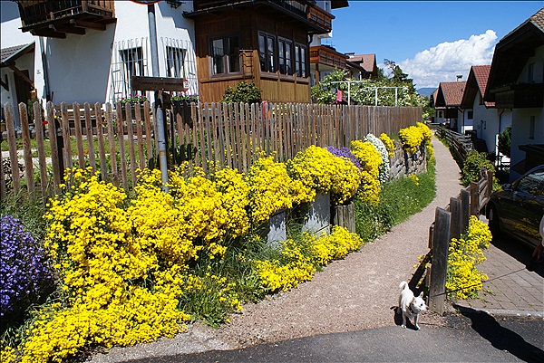 Foto:: Wanderung / Klobenstein / 14.05.2013 (Foto,Fotos,Bilder,Bild,)