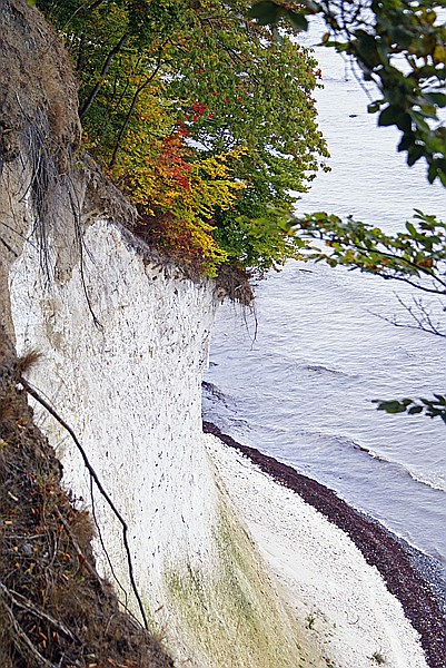 Foto:: Kreidekueste / Ruegen / 24.09.2013 (Foto,Fotos,Bilder,Bild,)