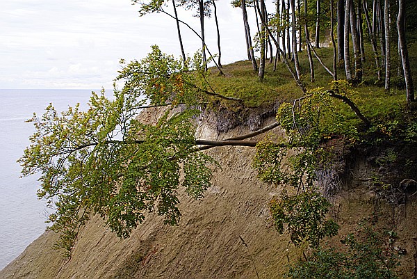 Foto:: Kreidekueste / Ruegen / 24.09.2013 (Foto,Fotos,Bilder,Bild,)