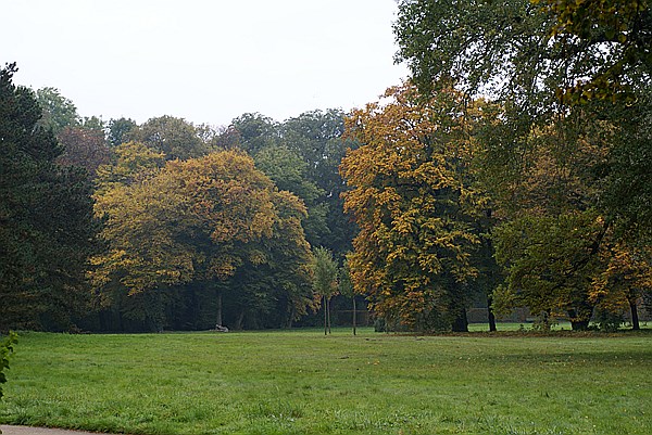 Foto:: Park Sanssouci / Potdsdam / 11.10.2013 (Foto,Fotos,Bilder,Bild,)