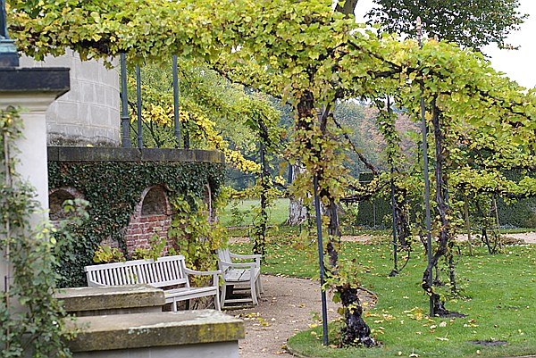 Foto:: Park Sanssouci / Potdsdam / 11.10.2013 (Foto,Fotos,Bilder,Bild,)