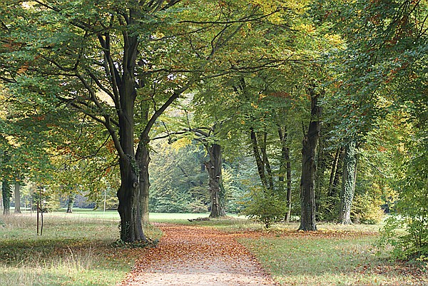 Foto:: Park Sanssouci / Potdsdam / 11.10.2013 (Foto,Fotos,Bilder,Bild,)
