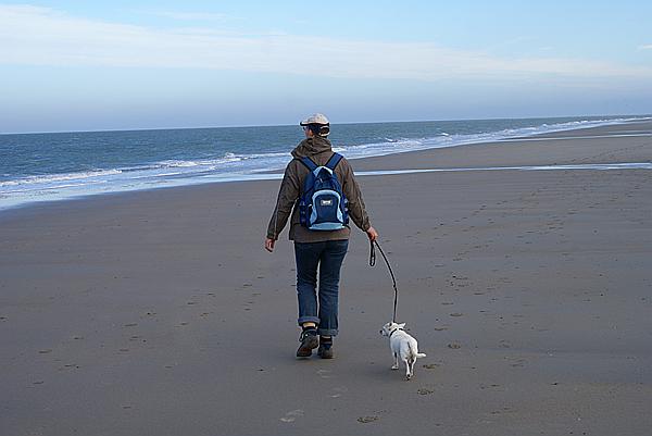 Foto:: Strand / Nieuw Haamstede / 26.10.2013 (Foto,Fotos,Bilder,Bild,)
