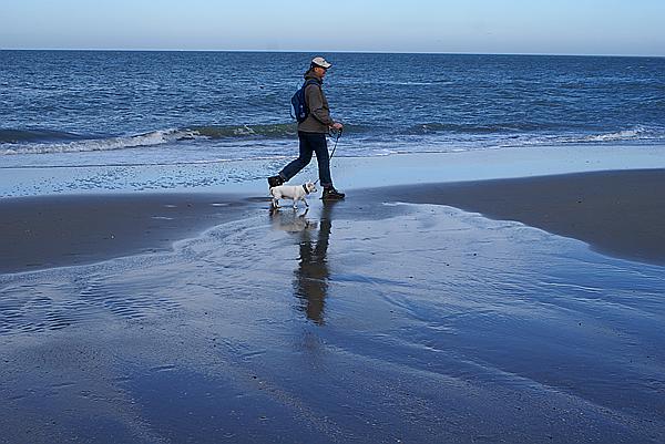 Foto:: Strand / Nieuw Haamstede / 26.10.2013 (Foto,Fotos,Bilder,Bild,)