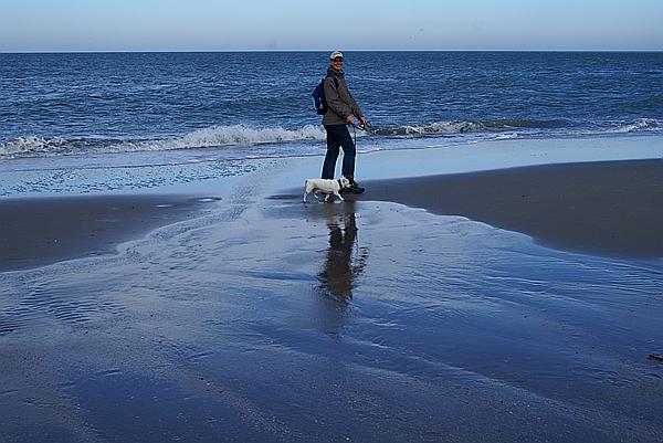 Foto:: Strand / Nieuw Haamstede / 26.10.2013 (Foto,Fotos,Bilder,Bild,)