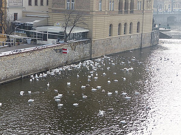 Foto:: Prag / 25.01.2014 (Foto,Fotos,Bilder,Bild,)