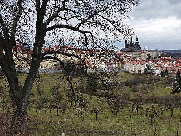 Foto:: Prag / 16.02.2014 (Foto,Fotos,Bilder,Bild,)