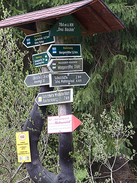 Foto:: Rundwanderung / Sachsengrund / 04.05.2014 (Foto,Fotos,Bilder,Bild,)
