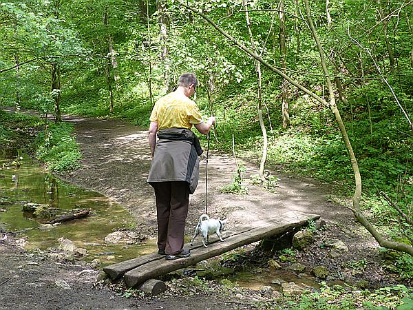 Foto:: Wanderung / Lodenice - Karlstejn - Lodenice / 08.05.2014 (Foto,Fotos,Bilder,Bild,)