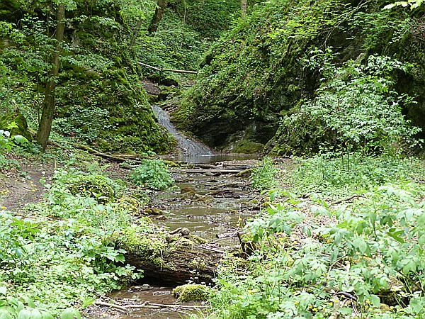 Foto:: Wanderung / Lodenice - Karlstejn - Lodenice / 08.05.2014 (Foto,Fotos,Bilder,Bild,)