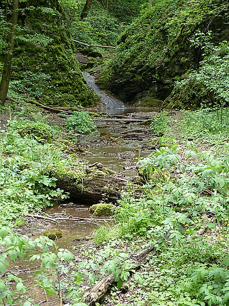 Foto:: Wanderung / Lodenice - Karlstejn - Lodenice / 08.05.2014 (Foto,Fotos,Bilder,Bild,)