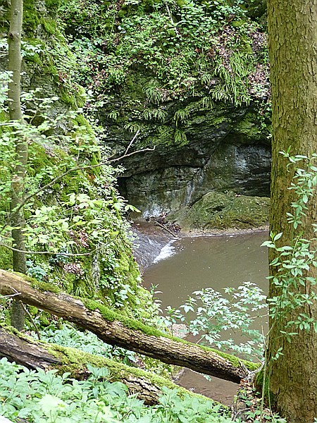 Foto:: Wanderung / Lodenice - Karlstejn - Lodenice / 08.05.2014 (Foto,Fotos,Bilder,Bild,)