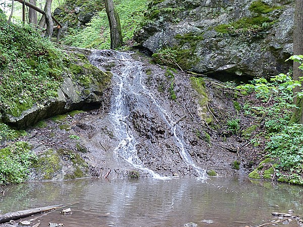 Foto:: Wanderung / Lodenice - Karlstejn - Lodenice / 08.05.2014 (Foto,Fotos,Bilder,Bild,)