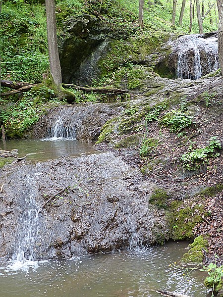 Foto:: Wanderung / Lodenice - Karlstejn - Lodenice / 08.05.2014 (Foto,Fotos,Bilder,Bild,)
