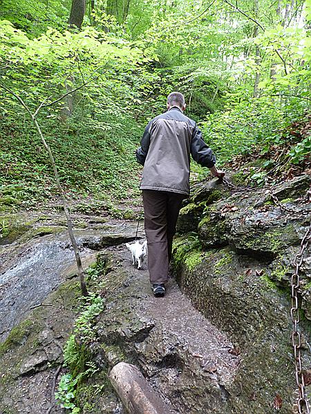 Foto:: Wanderung / Lodenice - Karlstejn - Lodenice / 08.05.2014 (Foto,Fotos,Bilder,Bild,)
