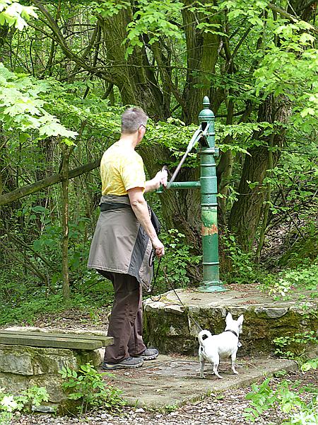 Foto:: Wanderung / Lodenice - Karlstejn - Lodenice / 08.05.2014 (Foto,Fotos,Bilder,Bild,)