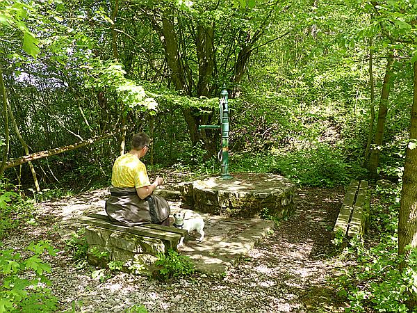 Foto:: Wanderung / Lodenice - Karlstejn - Lodenice / 08.05.2014 (Foto,Fotos,Bilder,Bild,)