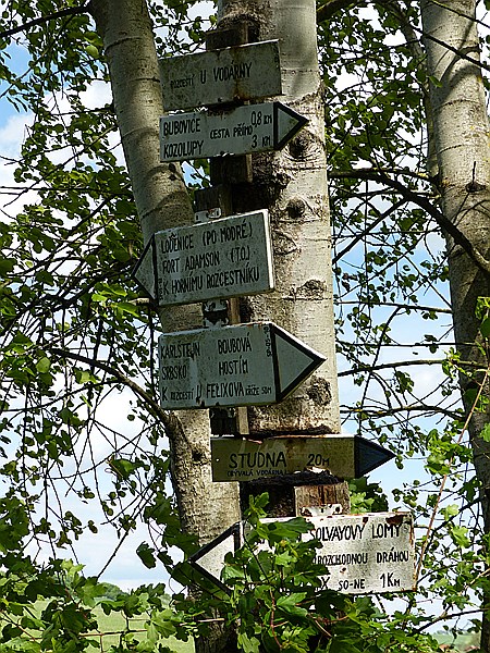 Foto:: Wanderung / Lodenice - Karlstejn - Lodenice / 08.05.2014 (Foto,Fotos,Bilder,Bild,)