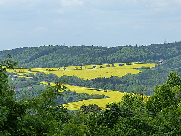 Foto:: Wanderung / Lodenice - Karlstejn - Lodenice / 08.05.2014 (Foto,Fotos,Bilder,Bild,)