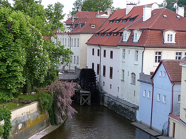 Foto:: Stadtrundgang / Prague / 08.05.2014 (Foto,Fotos,Bilder,Bild,)