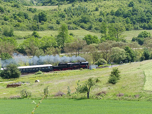 Foto:: 52 7596 / Altenbamberg / 31.05.2014 (Foto,Fotos,Bilder,Bild,)