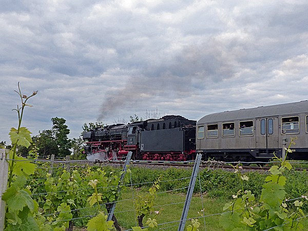 Foto:: 01 202 / Neustadt / 01.06.2014 (Foto,Fotos,Bilder,Bild,)