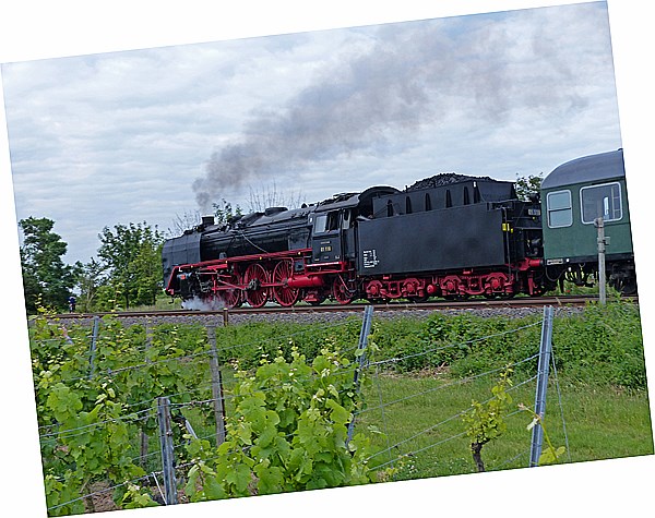 Foto:: 01 118 / Neustadt (W) / 01.06.2014 (Foto,Fotos,Bilder,Bild,)