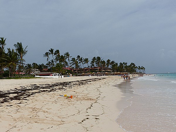 Foto:: Strand / Punta Cana / 09.06.2014 (Foto,Fotos,Bilder,Bild,)