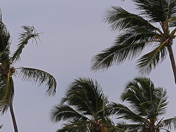 Foto:: Strand / Punta Cana / 09.06.2014 (Foto,Fotos,Bilder,Bild,)