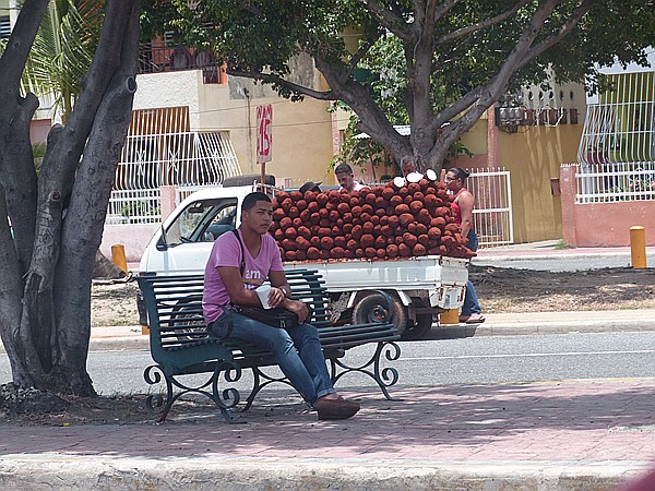 Foto:: Obst+Gemueseverkauf / Santo Domingo / 10.06.2014 (Foto,Fotos,Bilder,Bild,)
