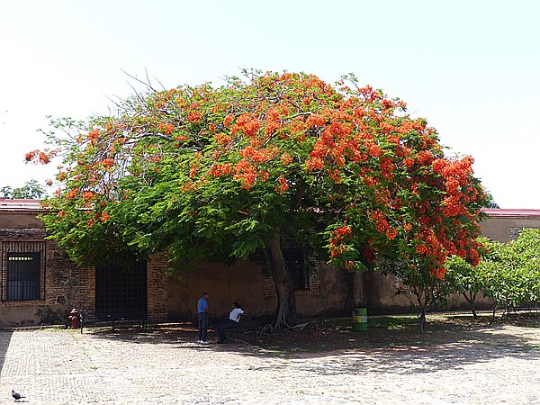 Foto:: Festungsmuseum / Santo Domingo / 10.06.2014 (Foto,Fotos,Bilder,Bild,)