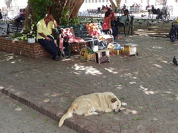 Foto:: Altstadtszenen / Santo Domingo / 10.06.2014 (Foto,Fotos,Bilder,Bild,)