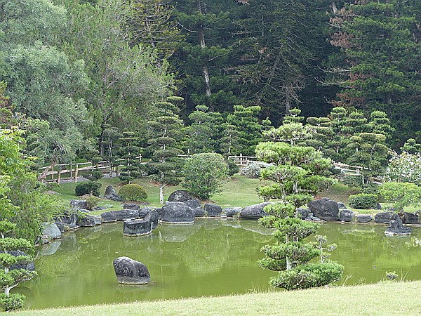 Foto:: Botanischer Garten / Santo Domingo / 11.06.2014 (Foto,Fotos,Bilder,Bild,)