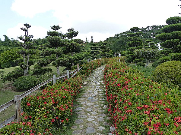 Foto:: Botanischer Garten / Santo Domingo / 11.06.2014 (Foto,Fotos,Bilder,Bild,)