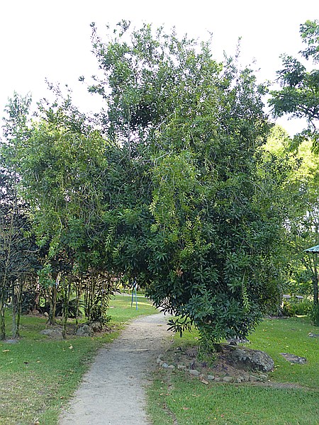 Foto:: Rancho Baiguate / Jaracaboa / 12.06.2014 (Foto,Fotos,Bilder,Bild,)