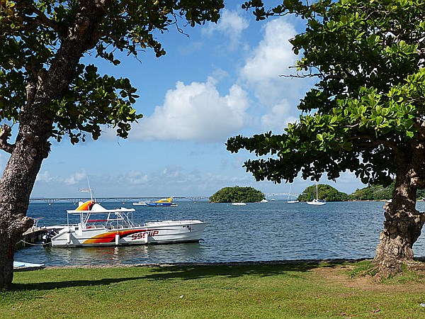 Foto:: Schiffsanleger / Santa Barbara de Samana / 13.06.2014 (Foto,Fotos,Bilder,Bild,)