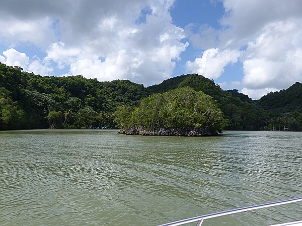 Foto:: Nationalpark / Los Haitises / 13.06.2014 (Foto,Fotos,Bilder,Bild,)