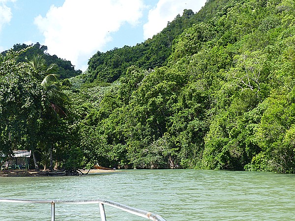 Foto:: Nationalpark / Los Haitises / 13.06.2014 (Foto,Fotos,Bilder,Bild,)