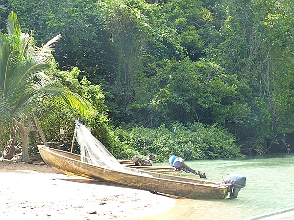 Foto:: Nationalpark / Los Haitises / 13.06.2014 (Foto,Fotos,Bilder,Bild,)