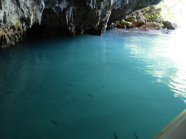 Foto:: Nationalpark / Los Haitises / 13.06.2014 (Foto,Fotos,Bilder,Bild,)