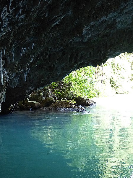 Foto:: Nationalpark / Los Haitises / 13.06.2014 (Foto,Fotos,Bilder,Bild,)