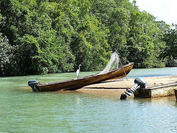 Foto:: Nationalpark / Los Haitises / 13.06.2014 (Foto,Fotos,Bilder,Bild,)