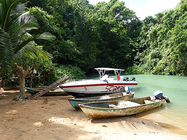 Foto:: Nationalpark / Los Haitises / 13.06.2014 (Foto,Fotos,Bilder,Bild,)