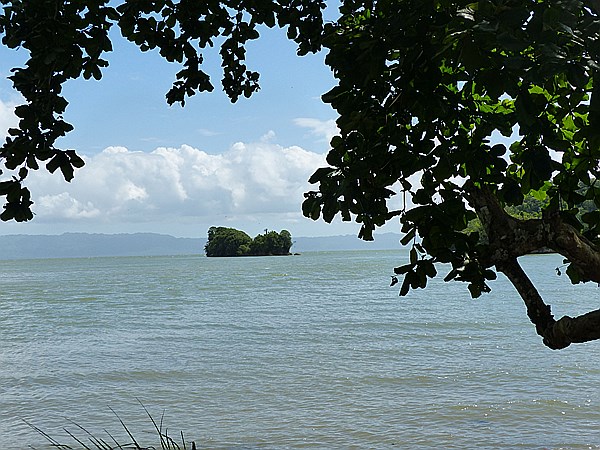 Foto:: Nationalpark / Los Haitises / 13.06.2014 (Foto,Fotos,Bilder,Bild,)