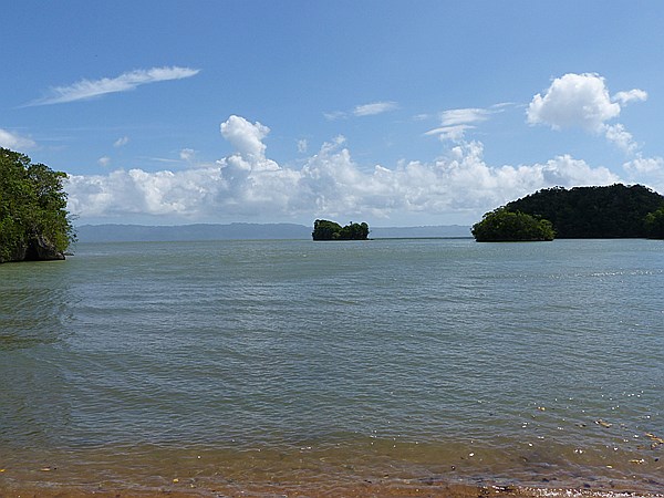 Foto:: Nationalpark / Los Haitises / 13.06.2014 (Foto,Fotos,Bilder,Bild,)